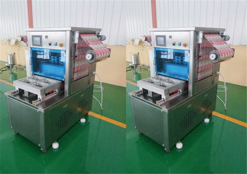 雞產品真空封口機設備——諸城市廣元機械專業解決方案