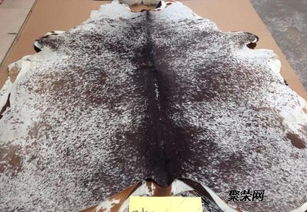 皮革進(jìn)口總代理直銷(xiāo) 品質(zhì)、服務(wù)與供應(yīng)鏈的完美融合